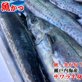 楽天市場 サワラ その他水産物 魚介類 水産加工品 食品の通販