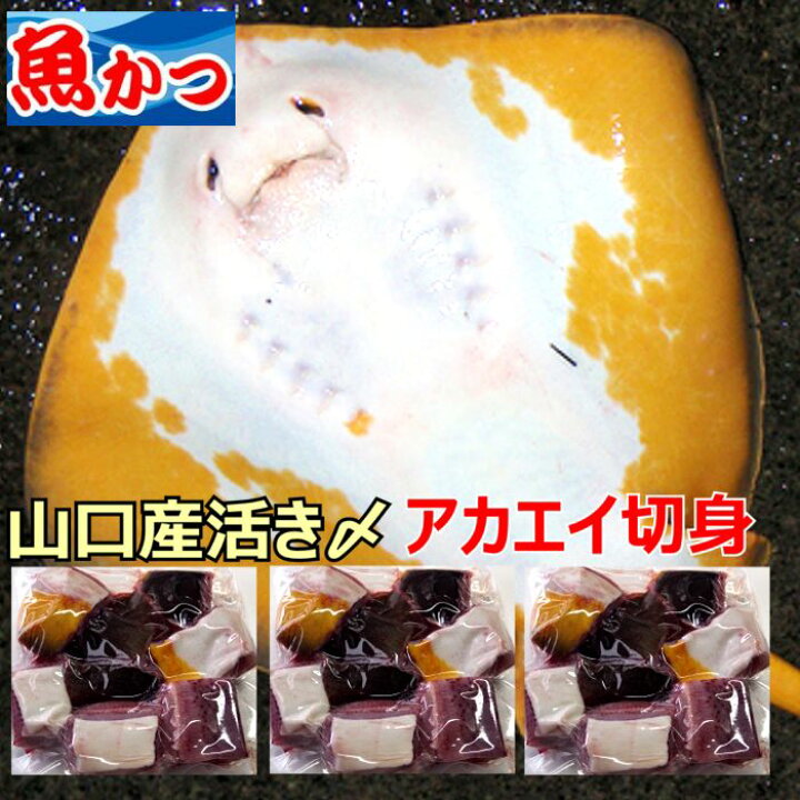 楽天市場 エイ 切身約500ｇ3ｐセット送料無料 えい山口県産 アカエイあかえい ひれ切り身エイ 約1 5キロ えいひれコラーゲンたっぷり 冷蔵 赤エイ ひれ煮付け 唐揚げ 刺身にお取り寄せグルメ エイ 山口県産海鮮広場 魚かつ