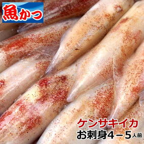 楽天市場 イカ 人気ランキング1位 売れ筋商品