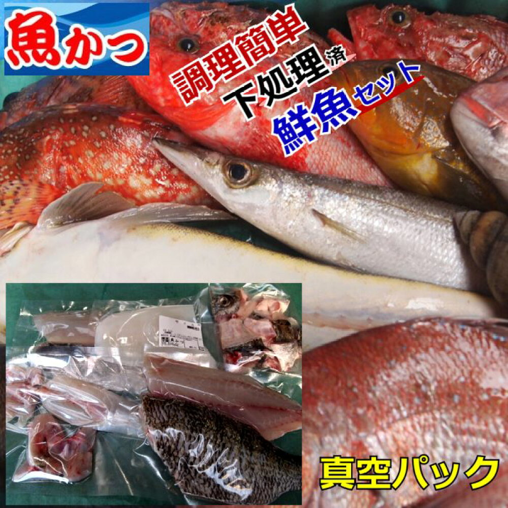楽天市場 39ｃｍ大皿 とらふぐふぐ セット父の日 ギフト ふぐ刺し冷蔵 ふぐ刺し6人前 260ｇふぐ鍋 セットふぐ刺身とらふぐあら 1 5kgフグ刺身 フグ鍋セットトラフグ てっさ てっちり送料無料ふぐ 冷蔵ふぐ アラ 海鮮 山口県産海鮮広場 魚かつ