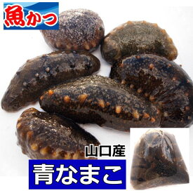 楽天市場 青なまこ 魚介類 水産加工品 食品 の通販