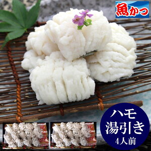 鱧 湯引き 冷凍 瀬戸内の高級魚 はも 湯引き 4-6人前 約400g 約200gx2パック 酢味噌 海産物ハモ 湯引き 魚 海鮮 ギフト ハモ ゆびき 山口産 さしみ はもゆびき 海産物 プレゼント 贈り物 刺身 魚
