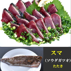 y݌Ɍz\E_KcI 150gi2lOj Ⓚ  t hg˂ Jpb`