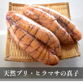 ブリ 真子 魚卵 約800g 冷凍山口産 ひらまさ ぶり 魚の卵 まこ煮物に 天然 魚 卵 内子海鮮 お取り寄せグルメ