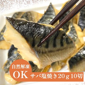 さば 塩焼 冷凍 自然解凍 OK！ 業務用 おかず お弁当 だんどり上手 さば 塩焼き 骨なし 業務用 20g×10枚入 真空パック サバ 魚料理 和食 朝食 鯖 惣菜