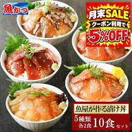 魚屋厳選 5魚種×各2食 10食 漬け丼 5品10食 80g 冷凍 ギフト 海鮮丼セット 時短料理 海鮮丼 海鮮セット …