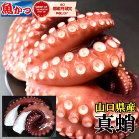 今が旬 山口産 たこ プリプリ食感 地だこ 刺身用 ボイルタコ 約450g 5-6人前 刺身 冷凍 ゆでたこ 塩ゆで 海鮮 タコ 足 地ダコ マダコ 国内産 急速冷凍 凍眠 魚 ギフト タコ