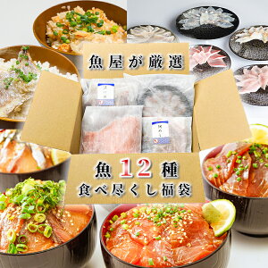   12̋HאsZbg Ⓚ Ђ hgZbg ݂т̑f VR {B C̍K   Mtg ȒP  CN  ^pbN  Ђ̋ ߂ T[  