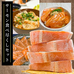  T[HאsZbg Ⓚ T[  ؃TP Ђ hgZbg ݂т̑f {B C̍K  Mtg ȒP  CN  ^pbN  Ђ̋ T[  M