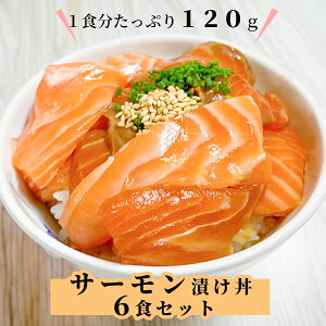 yʔŁzT[ Ђ 120g 6HZbg Ⓚ Â CN T[ CNZbg gEgT[ ݖЂ CN lߍ킹 T[hg T[ Â CN̋ CNЂ  