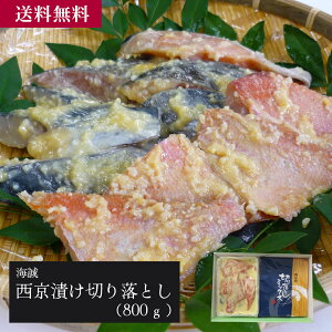 C Ђ؂藎Ƃi800gj^CY  O   p Mtg   Ε ̓ ̓ 󂠂 s   ~bNX ڑ  H 