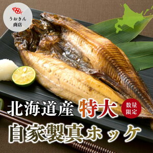 kCY 厩Ɛ ^zbPi 40cmȏ Ε Mtg  Oĵ@ɏ@ґ@ʁ@j@i@VR@NXc@v̖ڗ@El@d݁@zN