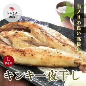 񂫂̈銱i3LTCY N Ε   Mtg  Oj ߂ ɏ  | ӂ zNzN v NXc ڗ ґ y