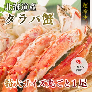 VAY{C ^oIi  2kgȏ Ε Mtg Jj ΊI LI  Oj