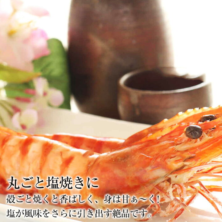 楽天市場】有頭生赤エビ2kg 新鮮船上凍結だから刺身でも焼きでも風味バツグン!アルゼンチン産天然赤えびバーベキューにも!【赤海老/あかえび/BBQ/海鮮】【ギフト/贈答】 : 魚耕 楽天市場店 楽天市場】有頭生赤エビ2kg 新鮮船上凍結だから刺身でも焼きでも風味バツグン!アルゼンチン産天然赤えびバーベキューにも!【赤海老/あかえび/BBQ/海鮮】【ギフト/贈答】 : 魚耕 楽天市場店