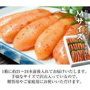 F hqq {H 1kg IׂTCY M 2L ϔ v`bƒeH܂ȂAґȈ{ yq/߂񂽂/炵q/炱/Ε/~Mtg/v[g//CN/