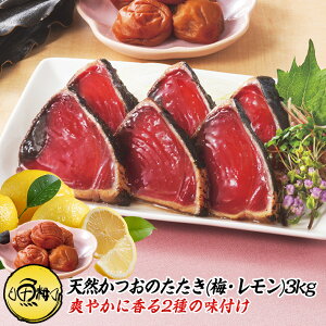 VR JcÎ 3kg t mY ˓ ~z ̂y/JcI//^^L//hg////Mtg/v[g/蕨//
