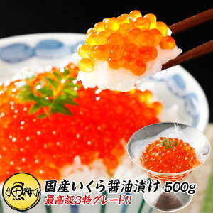  p ō3O[h 500g Y 2024NV ݖЂ 250g×2 Y̏HOOɂق΂̂悤ȃCN yCNݖЂ/嗱//hV̓/Mtg/v[gz