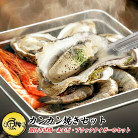 ガンガン焼き カンカン焼き お取り寄せ 海鮮 3種 バーベキュー セット 詰め合わせ 冷凍 約4-5人前【浜焼き/牡蠣/かき/カキ/殻付き/ブラックタイガー/有頭/海老/えび/赤エビ/あかえび/BBQ/魚介/貝/一斗缶/バーベキューセット/缶焼き/アウトドア/キャンプ】