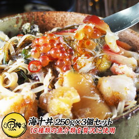 海十丼 わたりどん 松前漬け 3個 セット 750g 10種の豪華海鮮を贅沢に味わえるプレミアムな松前漬 【数の子/海鮮/海鮮丼の具/ギフト/贈答】