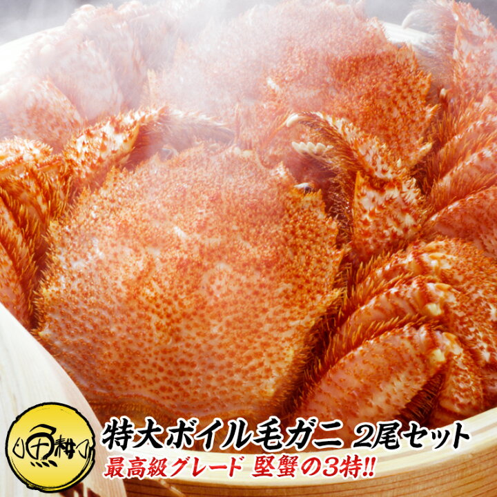 楽天市場】北海道 オホーツク産一級品 特大 毛ガニ ボイル済み 1kg 最高級3特グレード堅蟹 500g前後×2杯 約2〜3人前 【かに/カニ/蟹/毛蟹 /毛がに/浜茹で/かにみそ/蟹味噌/冷凍】【ギフト/プレゼント/贈答】 : 魚耕 楽天市場店 楽天市場】北海道 オホーツク産一級品 特大 毛ガニ ボイル済み 1kg 最高級3特グレード堅蟹 500g前後×2杯 約2〜3人前 【かに/カニ/蟹/毛蟹 /毛がに/浜茹で/かにみそ/蟹味噌/冷凍】【ギフト/プレゼント/贈答】 : 魚耕 楽天市場店