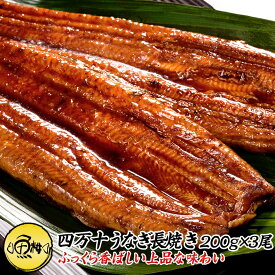 高知県四万十産 うなぎ 超特大サイズ 蒲焼き 長焼き 600g 3尾×約200g 【ギフト/プレゼント/贈答/国産/国内産/ウナギ/鰻/土用の丑の日】