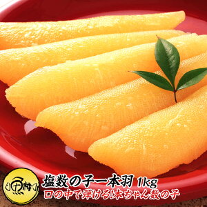 ̎q 1kg {H ϔ ̒Ńv`v`ƒe悤ȔQ̎u{v yOЂ/̎q/̂/JYmR/JYmR/̂/Mtg/z