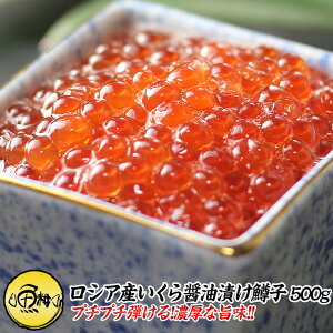 いくら 500gの人気商品 通販 価格比較 価格 Com いくら 500gの人気商品 通販 価格比較 価格 Com