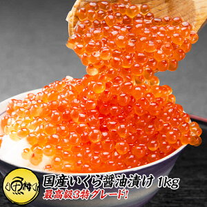 Y  ݖЂ 1kg ō3O[h 2024NV 250g×4 Y̏HOOɂق΂̂悤ȃCN yMtg/v[g///CN/嗱///CNz