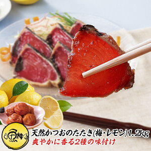 VR JcÎ 1.2kg t mY ˓ ~z ̂y/JcI//^^L//hg////hV̓/Mtg/v[g/蕨/