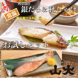 【1000円ポッキリ 送料無料 訳あり】銀だら 西京漬け 訳あり 常温 まさかの常温 銀鱈 銀だら 秋鮭 秋しゃけ 自信があるからこの価格 レター便 銀だら 秋鮭 しゃけ 鮭 サーモン たら 鱈 だら 2尾 セット お試し気に入ったらギフトボックス送ってあげてね グルメ 北海道 函館