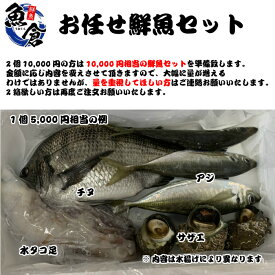 新鮮！お魚詰め合わせセット、鳥取県産、日本海産。魚、エビ、イカ、タコ、貝など旬の魚介類を詰め合わせ。