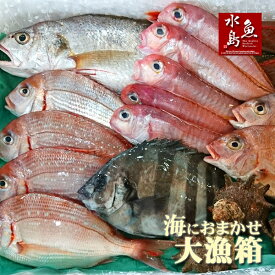 厳選 日本海の鮮魚セット「海におまかせ・大漁箱」 大満足詰め合わせ