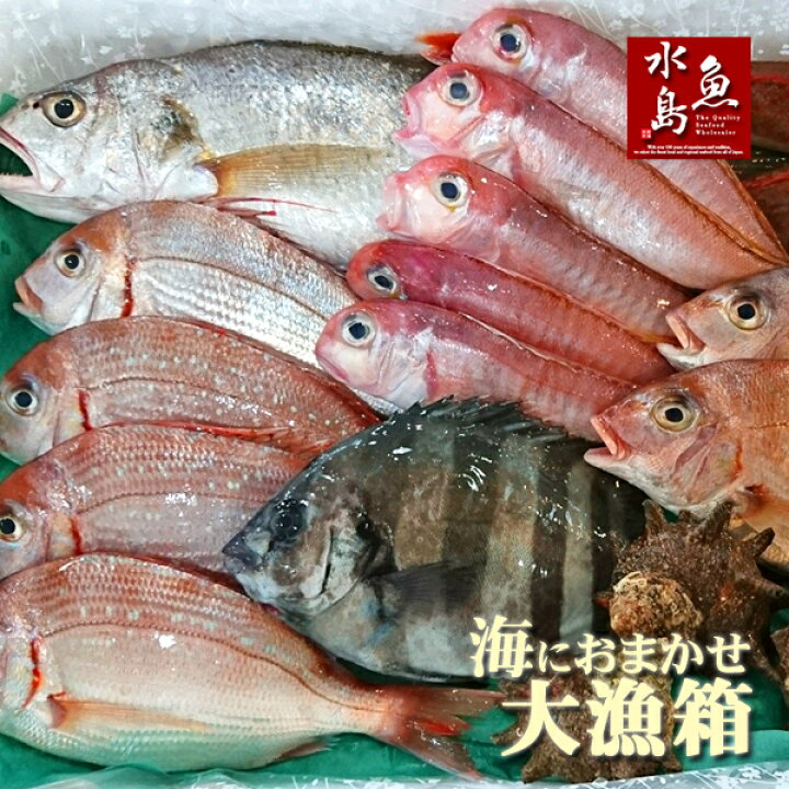 楽天市場】厳選 日本海の鮮魚セット「海におまかせ・大漁箱」 大満足詰め合わせ : 日本海の幸 新潟・魚水島 楽天市場】厳選 日本海の鮮魚セット「海におまかせ・大漁箱」 大満足詰め合わせ : 日本海の幸 新潟・魚水島