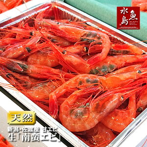 VEnY ÃGru؃GrvlꂽĐEhgp TCY500g(①)