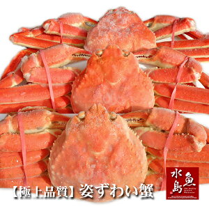 yzɏi YCKjEp 500g×3tiⓀj