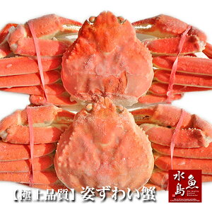 yzɏi YCKjEp 800g×2tiⓀj