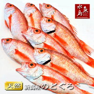 のどぐろ 新潟・日本海産 ノドグロ 150g以上・8尾（生冷凍）