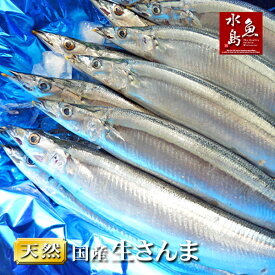 生サンマ 北海道～三陸産 秋刀魚 刺身用 さんま 4kg 26尾前後