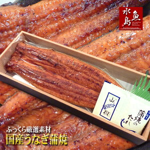Y VȂĂ ӂ猵If 30cm  200g×1 ̓Mtg/ypN̓/