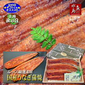 Y VȂĂ ӂ猵If 30cm 200g×3y̓MtgzyypN̓z
