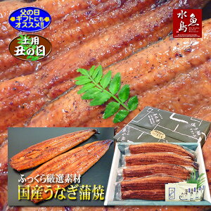 y̓MtgzyypN̓zY VȂĂ ӂ猵If 30cm 200g×4yz