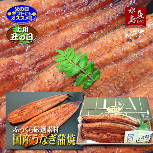【父の日ギフト】【土用丑の日】国産 鰻うなぎ蒲焼き ふっくら厳選素材 約30cm超特大 約200g×2尾