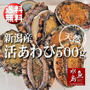 【送料無料】新潟県産 天然 活アワビ・あわび 500g 訳あり ランキングお取り寄せ