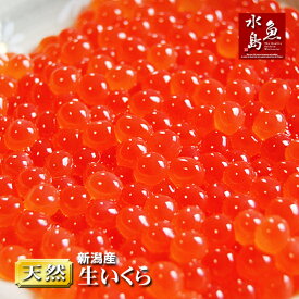 楽天市場 生イクラ イクラ 筋子 魚卵 魚介類 水産加工品 食品の通販
