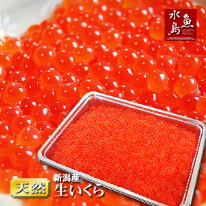 yz{CEVY  GߌuƂ炩 CNv 1kg