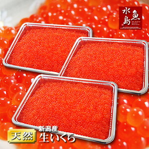 yz{CEVY  GߌuƂ炩 CNv 3kg