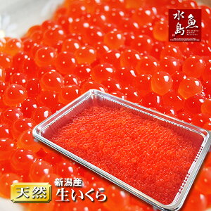 {CEVY  GߌuƂ炩 CNv 500g