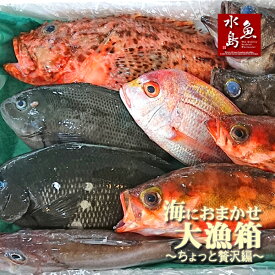 厳選 日本海の鮮魚セット「海におまかせ・大漁箱 ちょっと贅沢編」大満足詰め合わせ