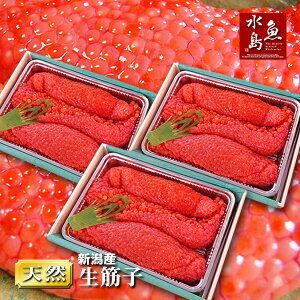 yz{CEVY ؎qijGߌu嗱 v 3kg